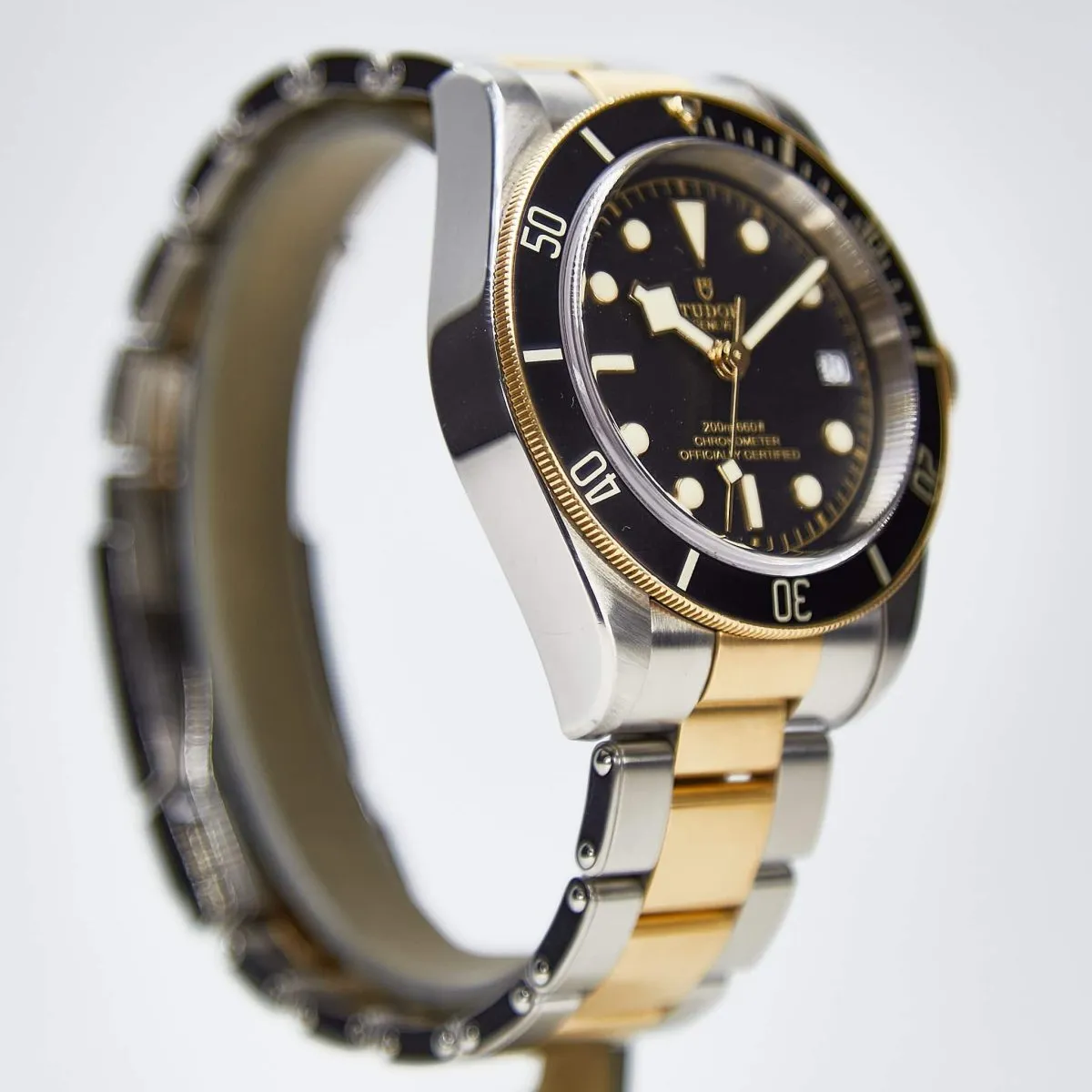 Tudor Black Bay S&G (79733N) – Watchworks